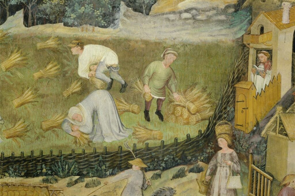 photo jardin médiéval